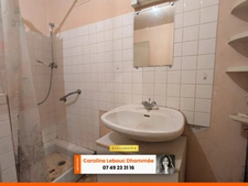 Perche Longère 80m² dépendances terrain 1ha