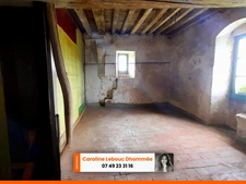 PERCHE - Manoir médiéval 1,5ha puits et dépendances