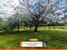 À 5 min de Bellême – Longère en pierres et jardin de 3 000 m²