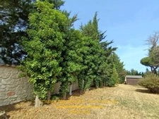 Maison de caractère; 9 pièces  (83)