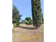Maison de caractère; 9 pièces  (83)
