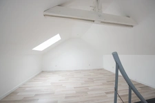 Appartement duplex rénové 3 chambres avec mezzanine proche centre