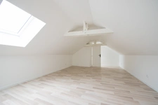 Appartement duplex rénové 3 chambres avec mezzanine proche centre