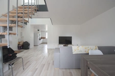 Appartement duplex rénové 3 chambres avec mezzanine proche centre