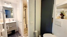 GRANDE MAISON RENOVEE AVEC APPARTEMENT T2 INDEPENDANT ET PISCINE 