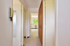 APPARTEMENT T2 A RENOVER MONTPELLIER