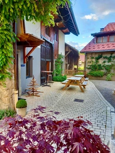 Dpt Haute Savoie (74), for sale THOLLON-LES-MEMISES HOUSE-GÎTE P10- LAND 1000m2   