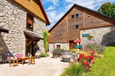 Dpt Haute Savoie (74), for sale THOLLON-LES-MEMISES HOUSE-GÎTE P10- LAND 1000m2   
