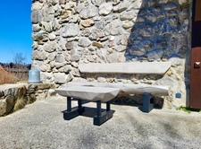 Dpt Haute Savoie (74), for sale THOLLON-LES-MEMISES HOUSE-GÎTE P10- LAND 1000m2   
