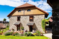 Dpt Haute Savoie (74), for sale THOLLON-LES-MEMISES HOUSE-GÎTE P10- LAND 1000m2   