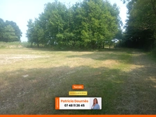 Vierzon terrain viabilisé de 3000m2 au calme hors lottissement