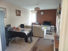 Appartement de trois chambres en rez de jardin avec grande terrasse et parking sécurisé.Vierzon centre ville.
