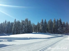 LE REVARD – TERRAIN À BÂTIR DE 985 M² AVEC VUE PANORAMIQUE SUR LES BAUGES