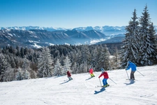 LE REVARD – TERRAIN À BÂTIR DE 985 M² AVEC VUE PANORAMIQUE SUR LES BAUGES