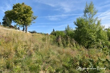 LE REVARD – TERRAIN À BÂTIR DE 985 M² AVEC VUE PANORAMIQUE SUR LES BAUGES