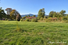 BEAU TERRAIN VIABILISÉ DE 839 M² – LIBRE CONSTRUCTEUR