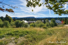 LE REVARD – TERRAIN À BÂTIR DE 985 M² AVEC VUE PANORAMIQUE SUR LES BAUGES