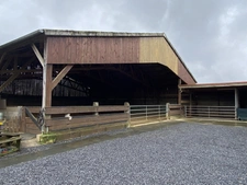 Propriété avec installations équestres  - DONCOURT LES LONGUYON (54)