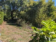 Saint-Didier-au-Mont-d'Or – Terrain constructible 