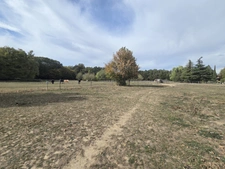 Propriete à vendre 11 pièces DOMPIERRE SUR VEYLE (01)
