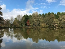 Propriete à vendre 11 pièces DOMPIERRE SUR VEYLE (01)