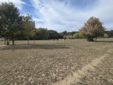 Propriete à vendre 11 pièces DOMPIERRE SUR VEYLE (01)