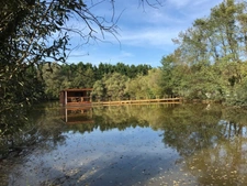 Propriete à vendre 11 pièces DOMPIERRE SUR VEYLE (01)