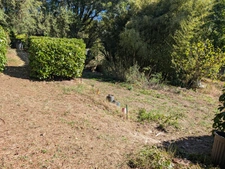 Saint-Didier-au-Mont-d'Or – Terrain constructible 