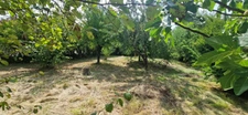 Maison à vendre 4 pièces FIRMI (12)