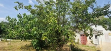Maison à vendre 4 pièces FIRMI (12)