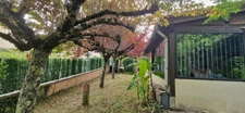 Maison à vendre 4 pièces FIRMI (12)
