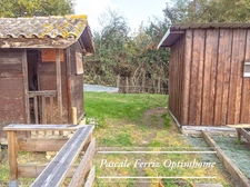FRANCON - MAISON T8 - 5 chambres - 247 m² sur terrain 5893m² avec Piscine et Jacuzzi