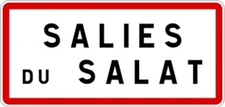 « INDIA » Maison T9 –  6 chambres – 205 m² + 180m² dépendances - sur terrain 3320 m² à SALIES-DU-SALAT