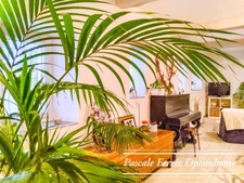 FRANCON - MAISON T8 - 5 chambres - 247 m² sur terrain 5893m² avec Piscine et Jacuzzi