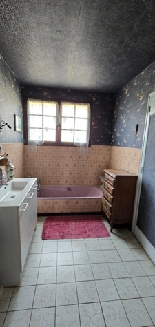 Maison à vendre 4 pièces LE PALAIS SUR VIENNE (87)