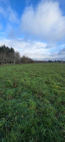 Terrain à vendre de 1 262,00 m² LE PALAIS SUR VIENNE (87)