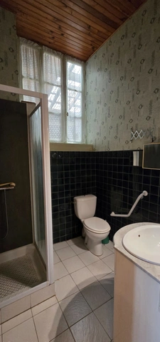 Maison à vendre 7 pièces LE PALAIS SUR VIENNE (87)