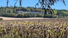 Corps de Ferme, écrin de verdure, 250 m2 habitables, 23 000 m2 de terrain, 400 m2 de dépendances, 20 mn Angoulême centre