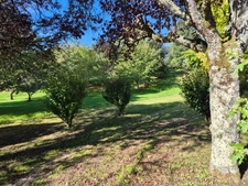 Superbe emplacement, 3000 m2, secteur calme, commerces et écoles en proximité