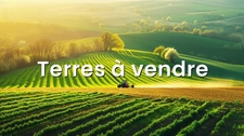Investissement foncier rural : 18 ha de terres agricoles au Faouët (56)
