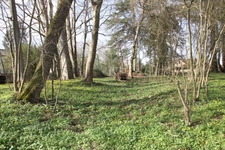 Terrain à vendre de 8 124,00 m² BERGERAC (24)