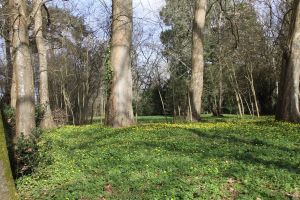 Terrain à vendre de 8 124,00 m² BERGERAC (24)