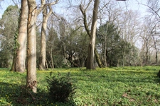Terrain à vendre de 8 124,00 m² BERGERAC (24)
