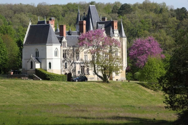 Propriete à vendre 50 pièces proche de TOURS (37)