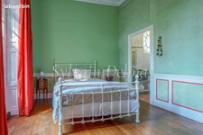 Propriete à vendre 10 pièces SAINT AVERTIN (37)