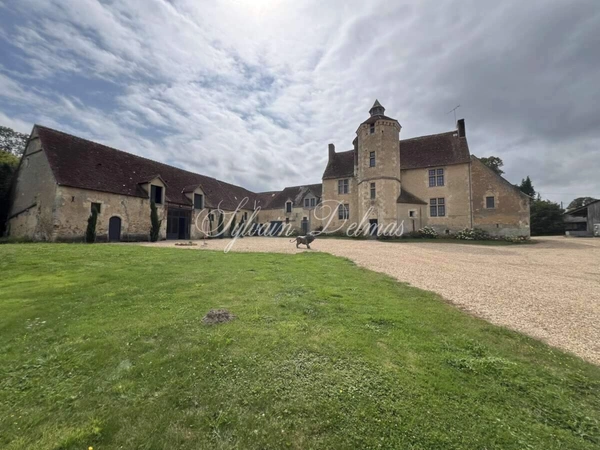 Propriete à vendre 35 pièces proche de NOCE (61)