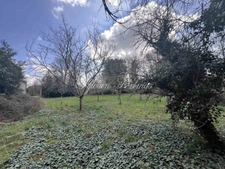 Property for sale 15 rooms near CHATILLON SUR INDREDRE (36)