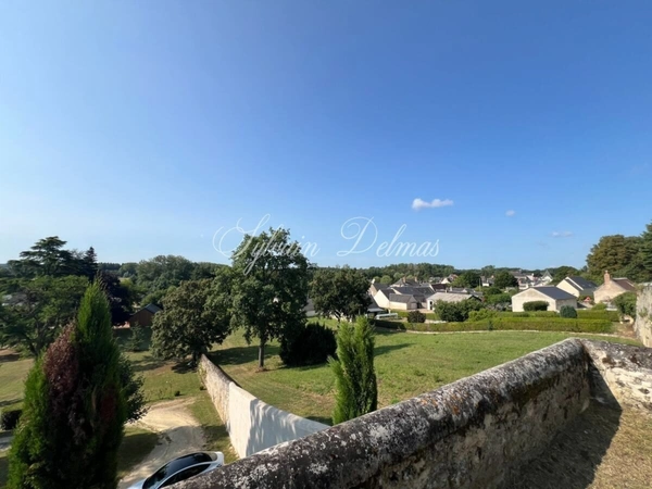 Propriete à vendre 16 pièces proche de AMBOISE (37)