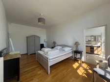 Propriete à vendre 17 pièces SAINT OUEN LES VIGNES (37)