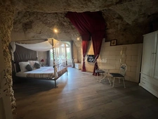 Propriete à vendre 14 pièces AMBOISE (37)